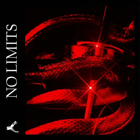 No Limits