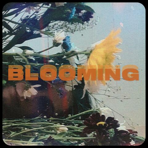 Blooming