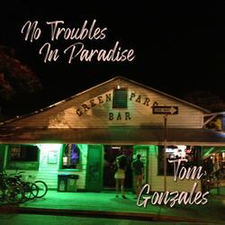 No Troubles In Paradise