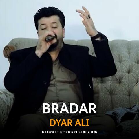 Bradar