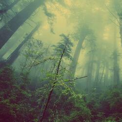 Suicide By Tits BPM (130)