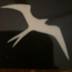 11Shadow Chapter 8: Adrift in the Guilestrom Graveyard