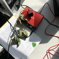 your happiness is dependent on my misery