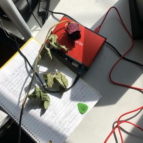 your happiness is dependent on my misery