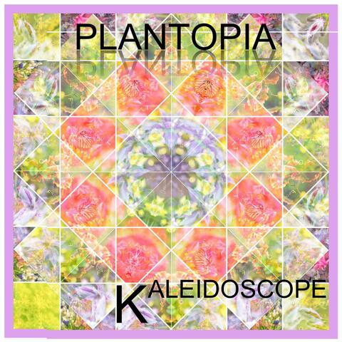 Kaleidoscope