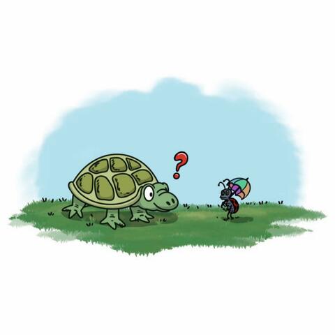The Turtle Song
