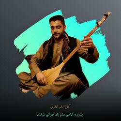 پیرم و گاهی دلم یاد جوانی می کند