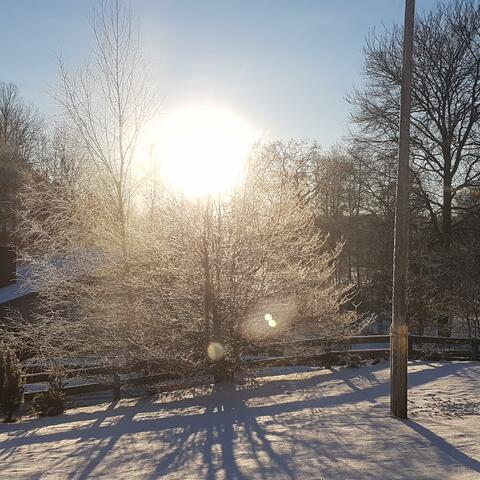 Välkommen, du vår!