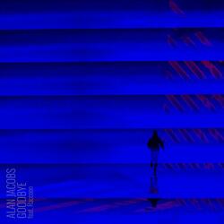 Goodbye (feat. Raccoon)