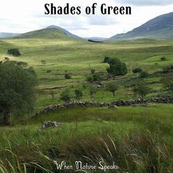 Shades of Green