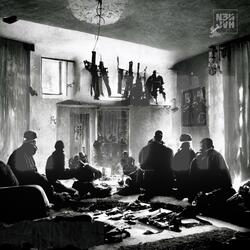 Dr. Bosconovitch (feat. AUR)