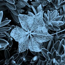 56 Years Unravelling