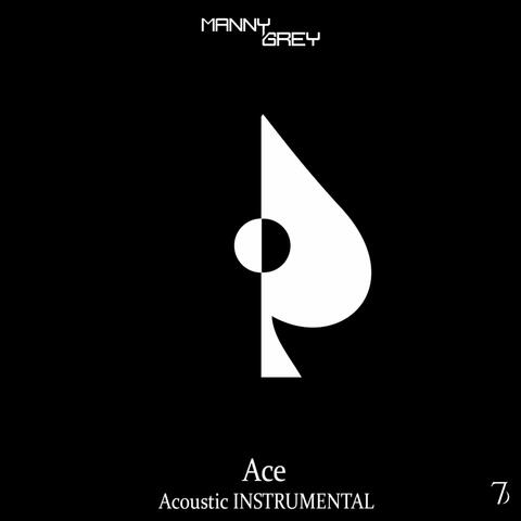 Ace Acoustic Instrumental
