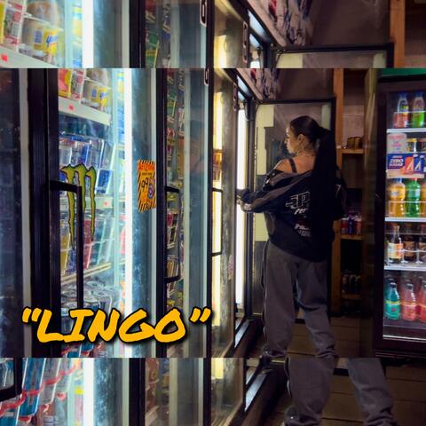 Lingo