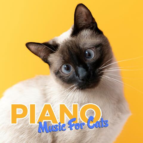 Cat Piano Music