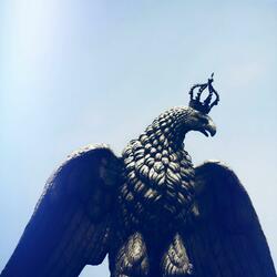 The Queen Buzzard's Lullaby