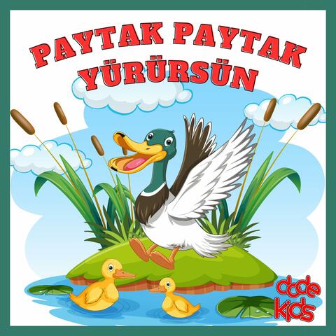 Paytak Paytak Yürürsün