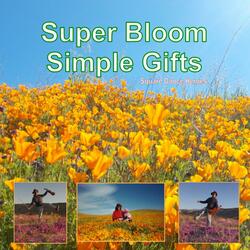 Simple Gifts (feat. Buffalo Dave & The Wolf Rock Orchestra)