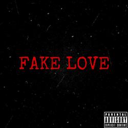 Fake Love