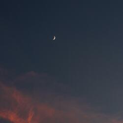 Love II (Moon Song)