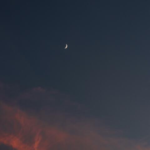 Love II (Moon Song)