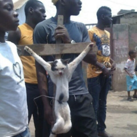 PUSSY HARD (Walk Away)
