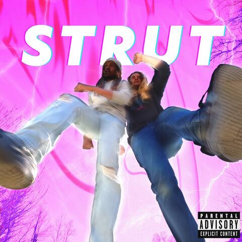 STRUT