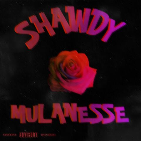SHAWDY
