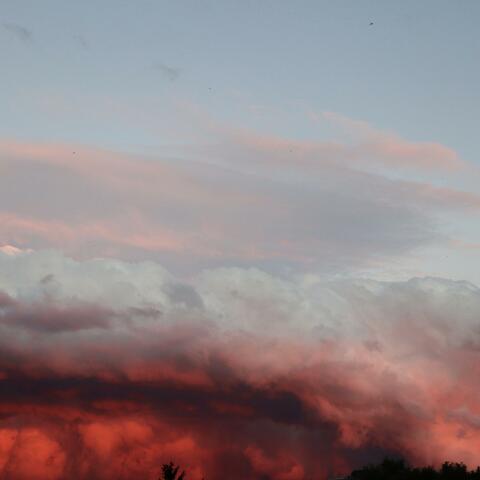 The Apocalyptic Vision
