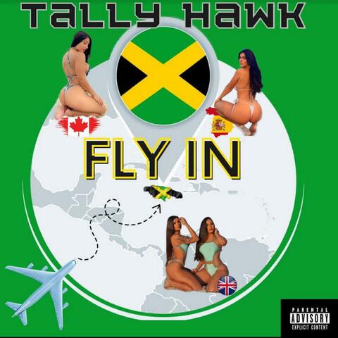 Fly In