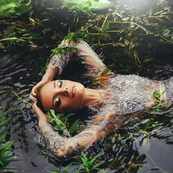 Waterfall Oasis In The Forest