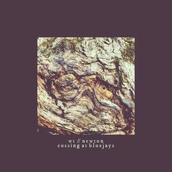 Cussing At Blue Jays