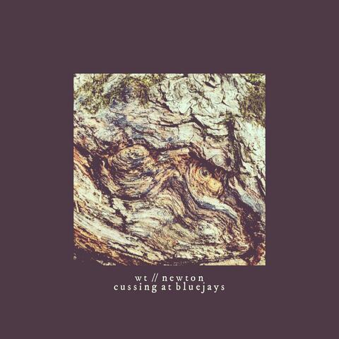 Cussing At Blue Jays