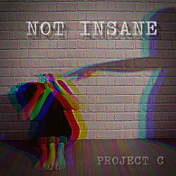 Not Insane (feat. Valeria Visconti)