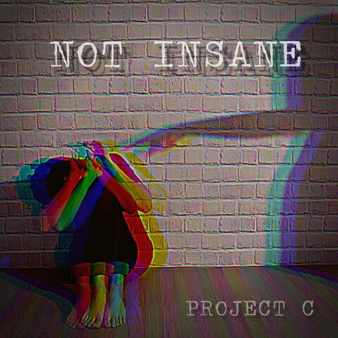 Not Insane (feat. Valeria Visconti)
