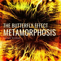 The Butterfly Effect