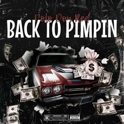Back To Pimpin'