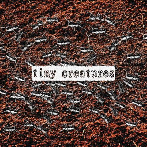 Tiny Creatures