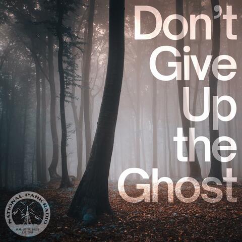 Don't Give Up The Ghost