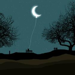 Fly me to the moon