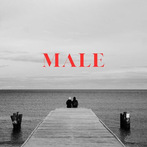 Male (feat. Cul7o)