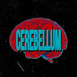 cerebellum
