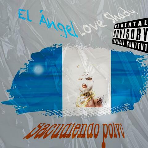 Sacudiendo polvo