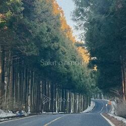 Salut d'amour (Jazz Hop ver.) (feat. do.ohyun)