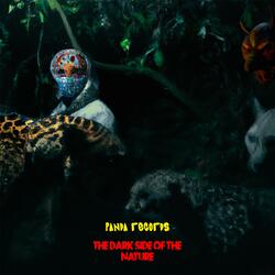 The Dark side of the Nature