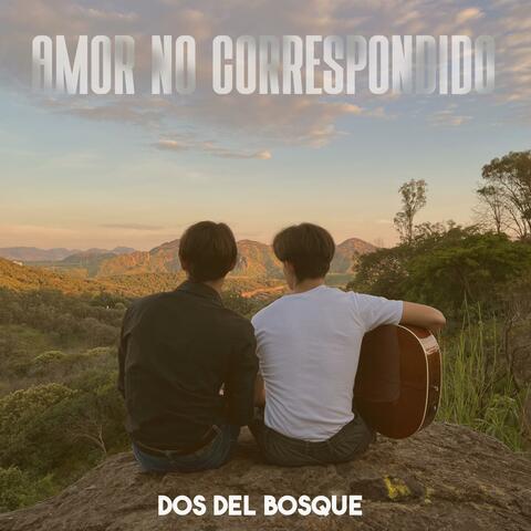 Amor No Correspondido