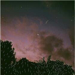 chicken salt (feat. kcaz)