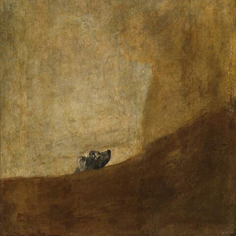 Bury The Dog