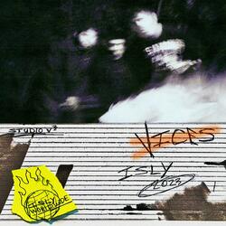 Vices