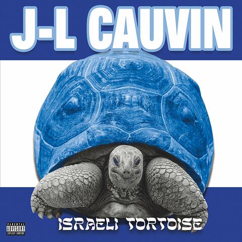 Israeli Tortoise